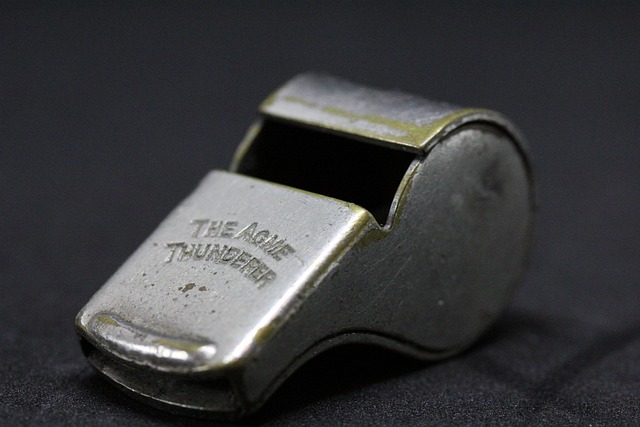 dla-piper