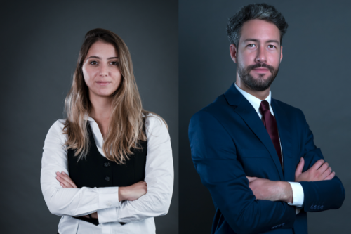 dla-piper